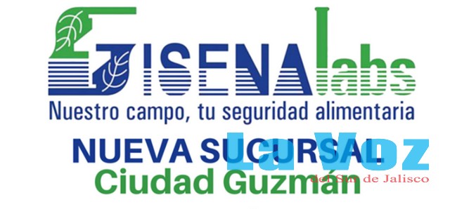 logo gisenalab