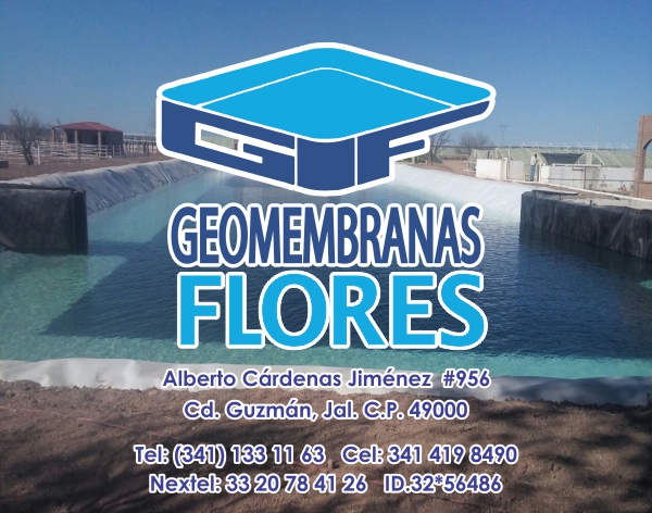 Vinil Geomembranas Flores 45x35