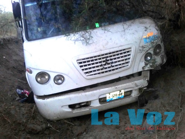 camion agricola Amacueca (2)