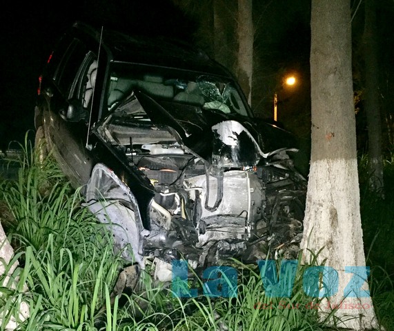 choca contra un arbol (2)