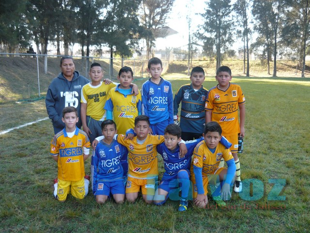 LIGA INFANTIL------TIGRES