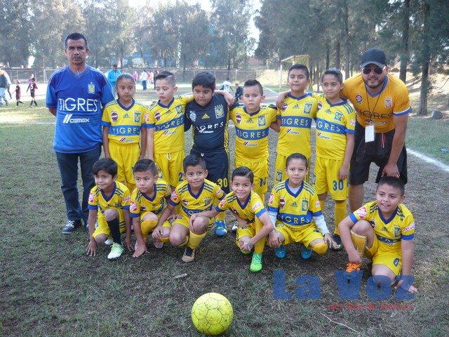 LIGA INFANTIL CHUPON-------TIGRES