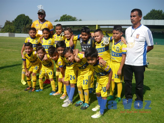 LIGA INFANTIL CHUPON--------TIGRES