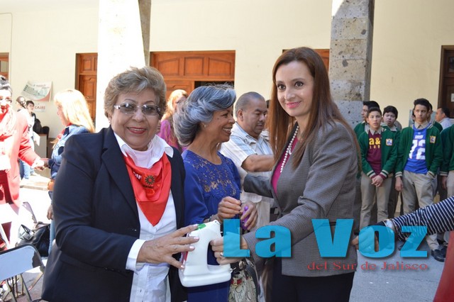 Colecta 2015 Cruz Roja 3