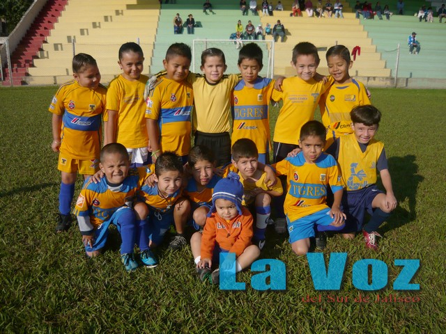 LIGA INFANTIL CHUPON-----TIGRES