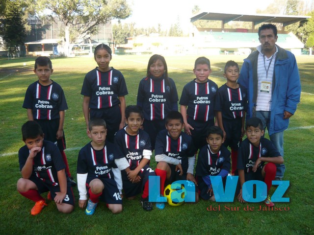 LIGA INFANTIL PONY-------POTROS COBRAS