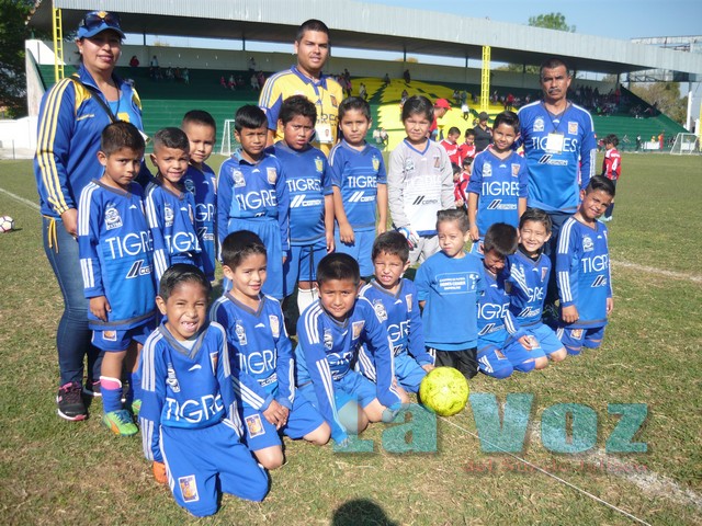LIGA INFANTIL CHUPON---------TIGRES