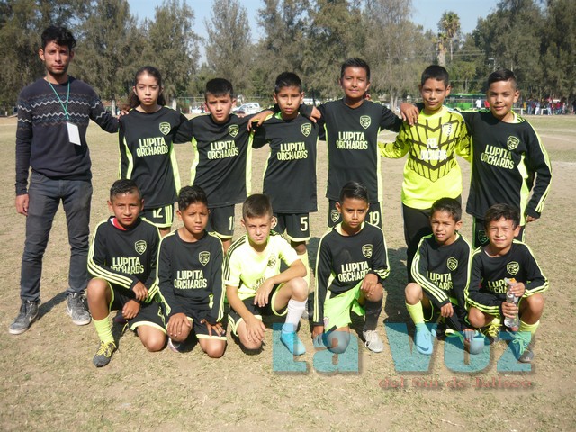 LIGA INFANTIL DE SEGUNDA-------SUTERM