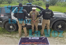 Detienen a un Hombre con Escopeta y Armadillo Muerto